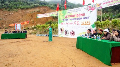 Viện kiểm sát nhân dân huyện Nam Trà My tham gia  Lễ phát động “Tết trồng cây đời đời nhớ ơn Bác Hồ” nhân dịp xuân Ất Tỵ năm 2025